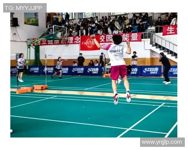 南京羽毛球队的崛起与发展聚焦羽毛球运动的力量与激情