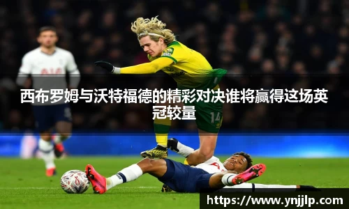 西布罗姆与沃特福德的精彩对决谁将赢得这场英冠较量